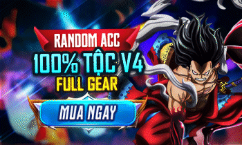 ACC V4 FULLGEAR